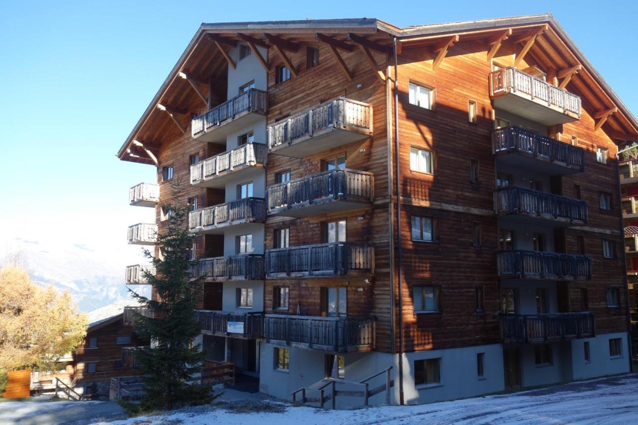 Pracondu OUTDOOR&FUN appartement 1 chambre avec balcon by Alpvision Résidences Nendaz Esterno foto